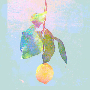 狂野少女免费完整版电影在线播放
